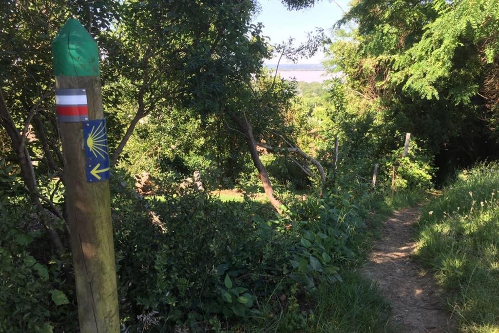 Avec Vue Panoramique Sur L'estuaire De La Gironde Appartement *