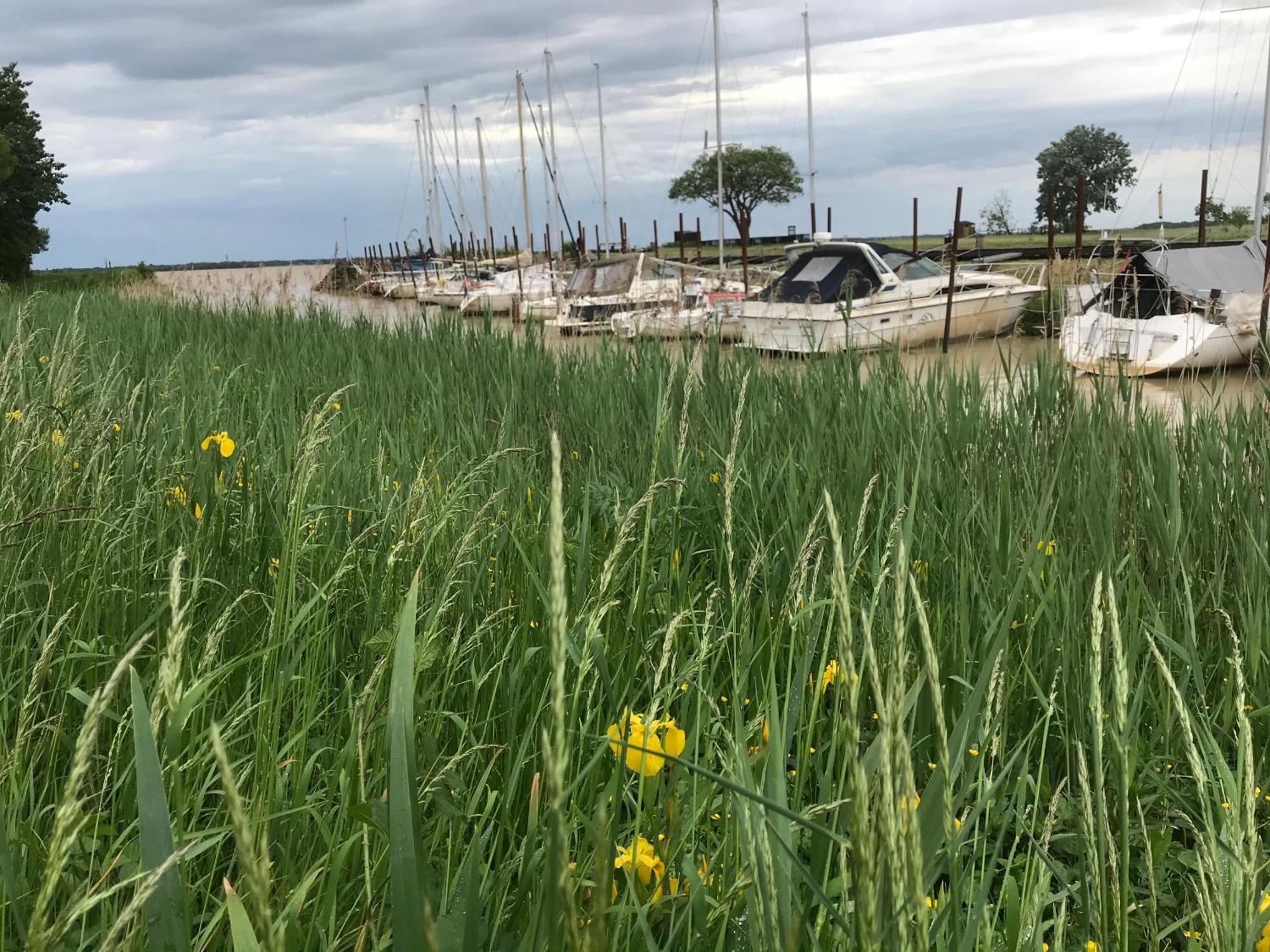 Avec Vue Panoramique Sur L'estuaire De La Gironde *